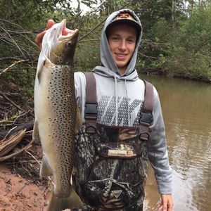 Meet your Posher, Kyle